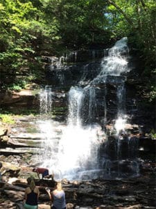 image of the falls at Rickett's Glen State Park